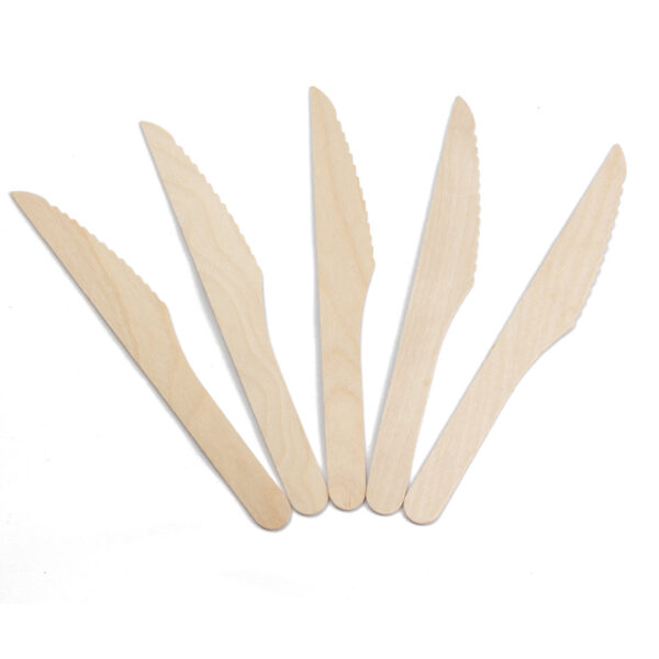 2000 Stück Holzmesser 165mm ( 20x100 )