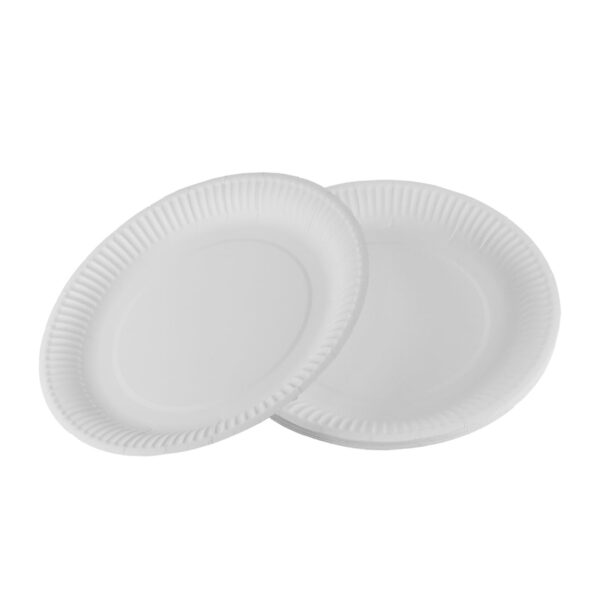Rund Pappteller ⌀23 cm (500 Stück / Karton) – Bild 3
